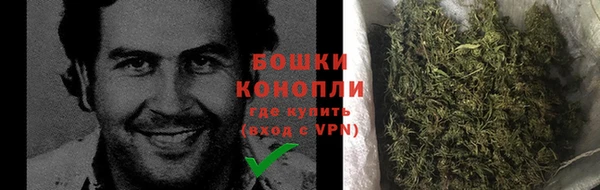 сатива Елабуга