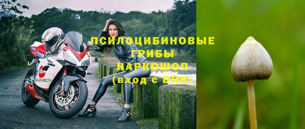 тгк Беломорск