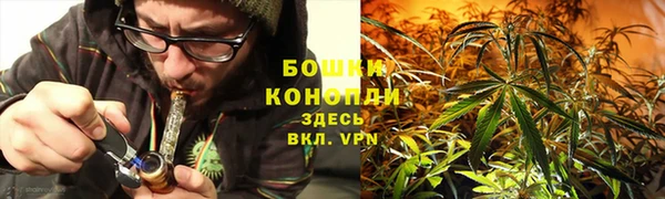 тгк Беломорск