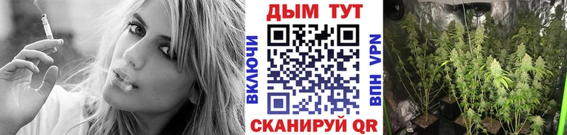 Каннабис Ganja  закладка  Верея 